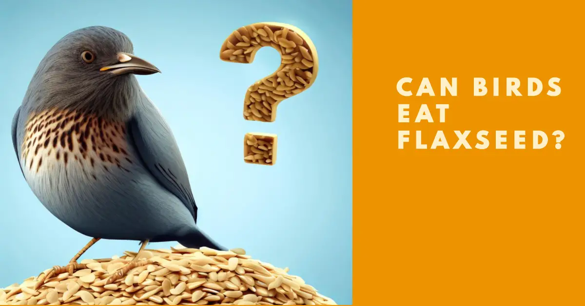 Can Birds Eat Flaxseed?