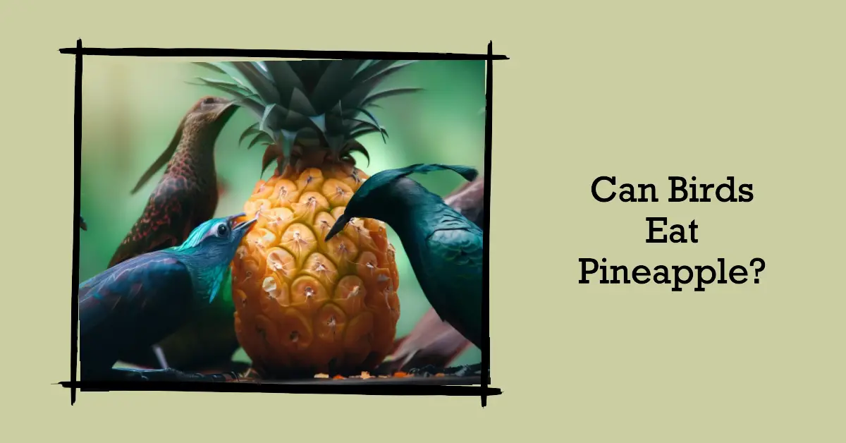 can birds eat pineapple