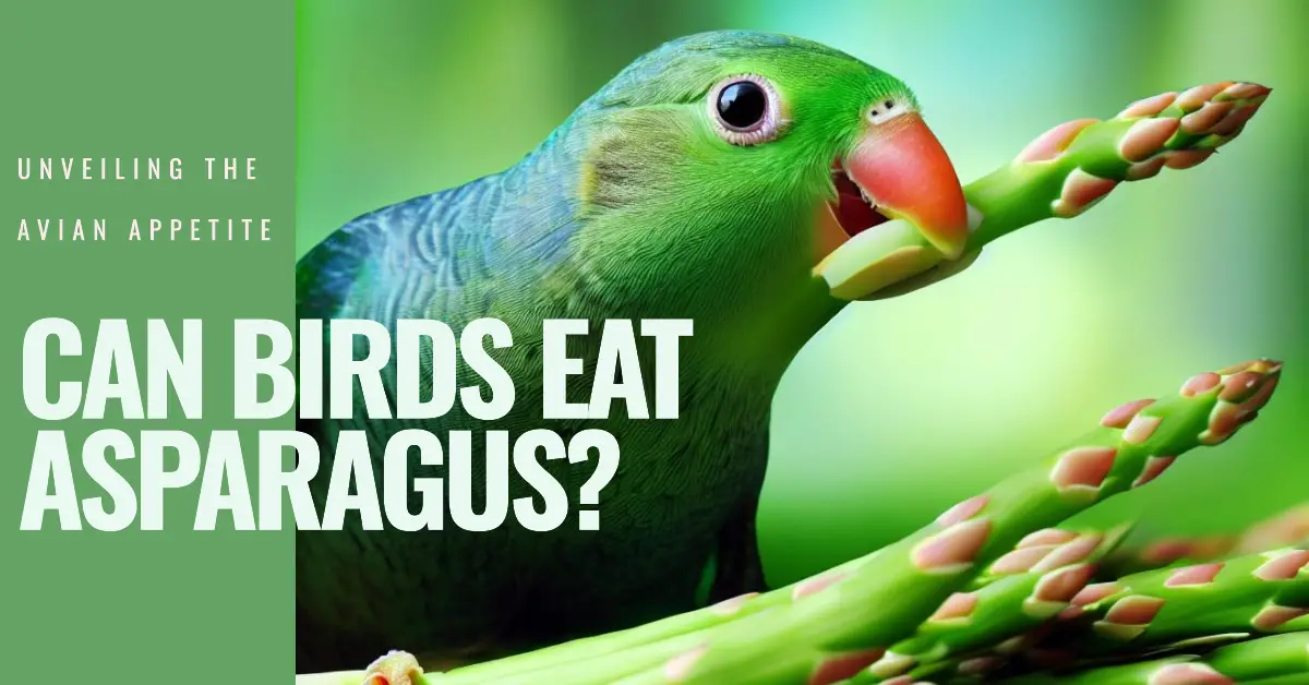Can Birds Eat Asparagus