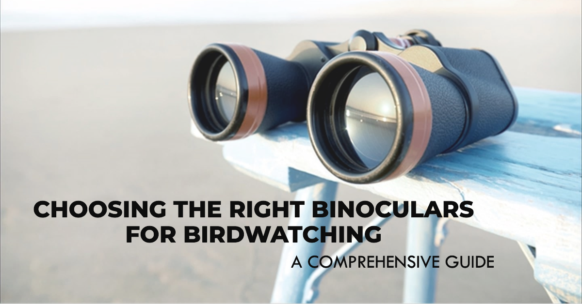 Choosing the Right Binoculars for Birdwatching: A Comprehensive Guide