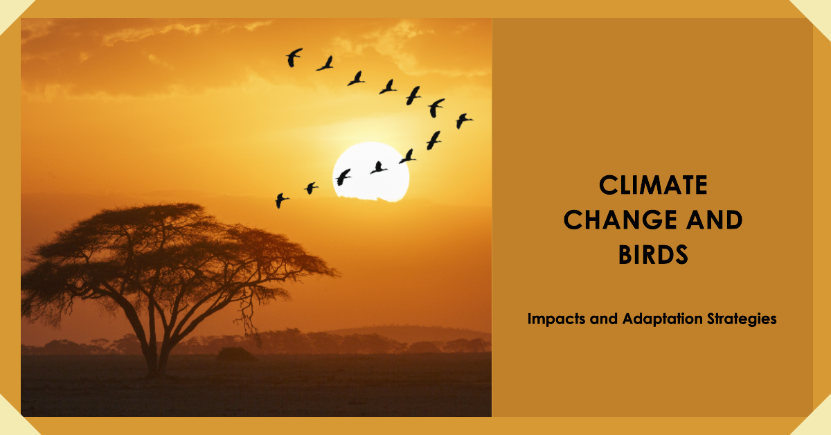 Climate Change and Birds Impacts and Adaptation Strategies