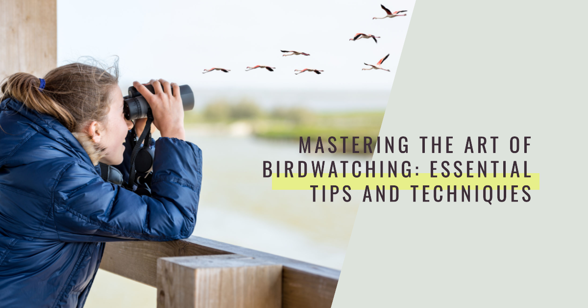 Mastering the Art of Birdwatching Essential Tips and Techniques