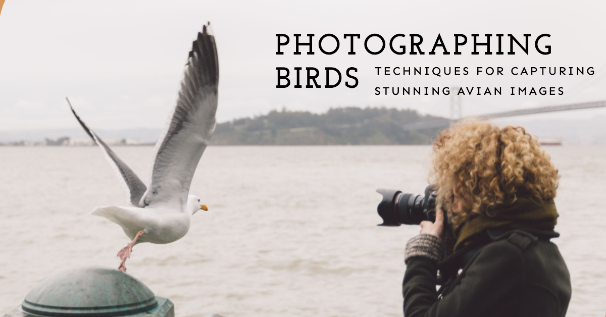 Photographing Birds: Techniques for Capturing Stunning Avian Images